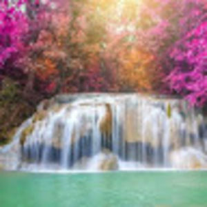 Meet your Posher, Amador